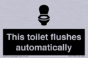 this-toilet-flushes-automatically~